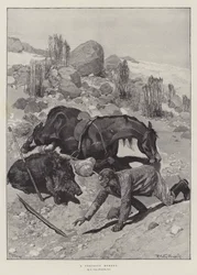 Un Moment Périlleux